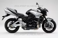 * FOTOGRAFIA DI COLORE GSX1300BKK8 * per Suzuki B-KING 1300 2008